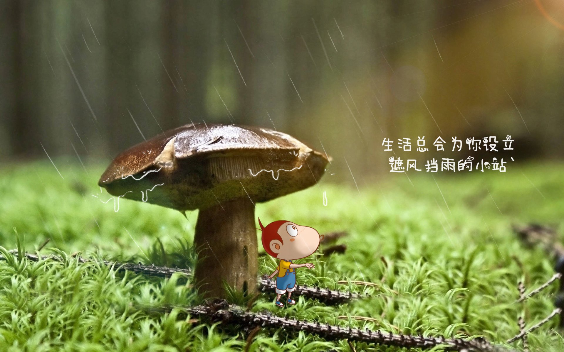 开云·体育官网-开拓者主场取胜，战胜爵士展现实力，开拓者对爵士的比分预测