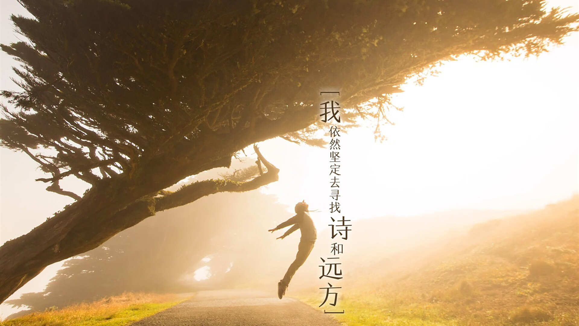 格拉纳达豪取四连胜，领跑积分榜，格拉纳达战绩500