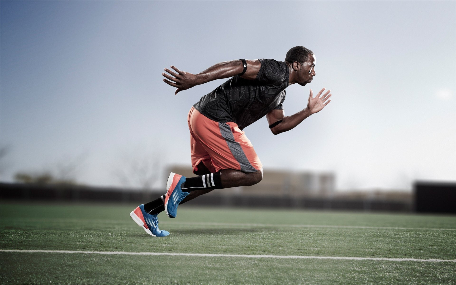 未来策略：联盟全球化、多元化新布局，多元化体系联盟中的联盟国家以坚持自卫立场的关系出现